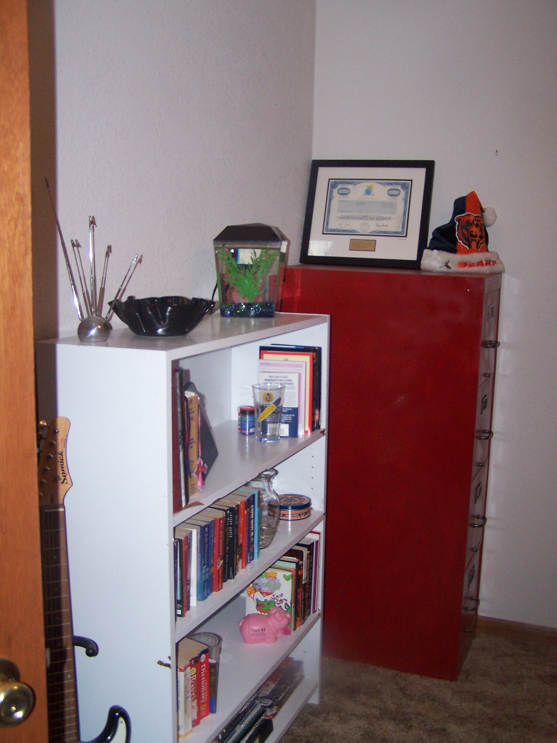 A close up of the bookshelves and our fish Van Halen.