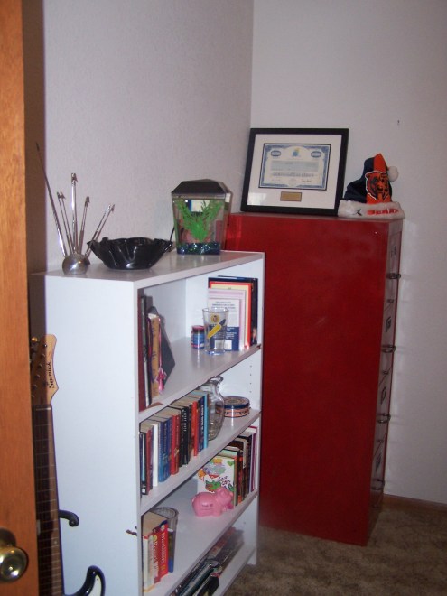 A close up of the bookshelves and our fish Van Halen.