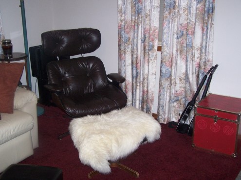 Next to the couch is my pride and joy!  My Eames era lounge chair!  