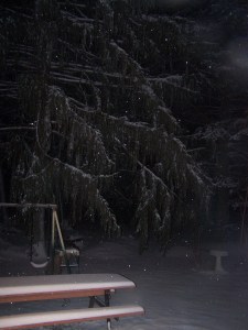 Romeo wanted to go out and play in the fluff, but I was just to cold.  It was only about 7 degrees out.