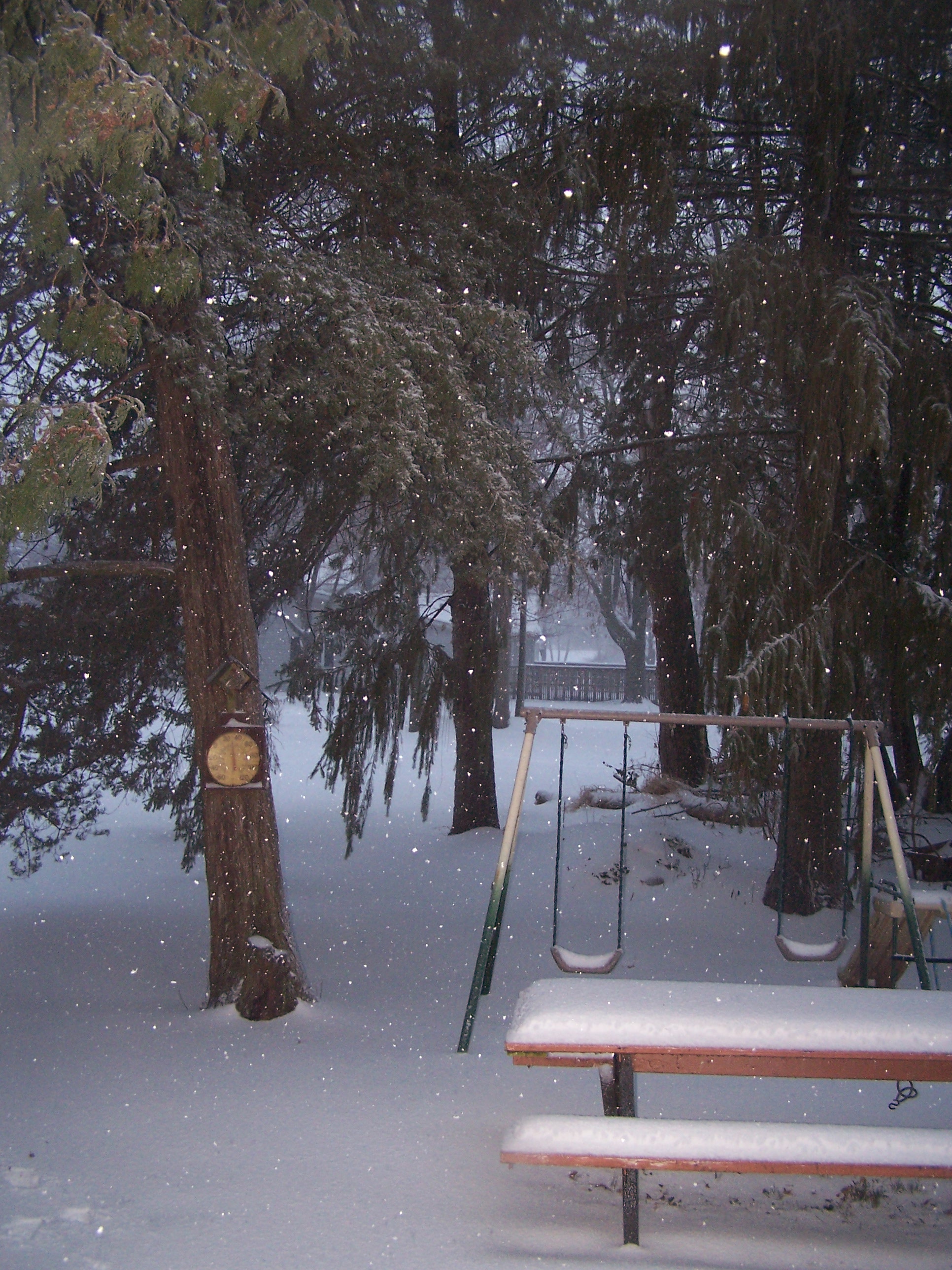 blog-pics-5-0121 Our snowy back yard.