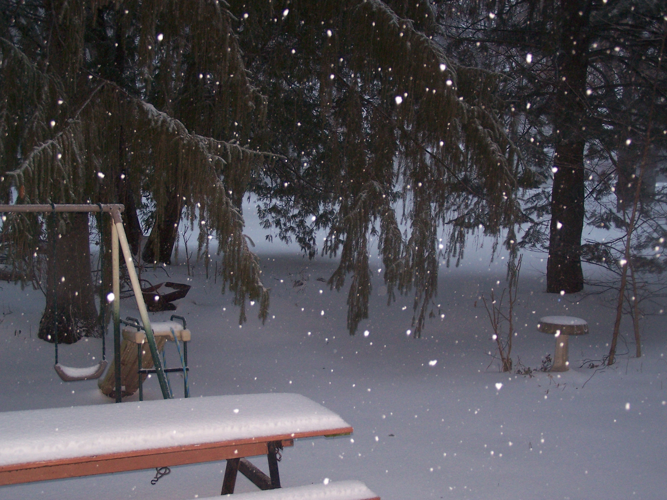 blog-pics-5-014 You can see the snow still falling down.