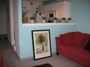 //www.apartmenttherapy.com/chicago/small-cool-2007-entries/20-renatas-river-east-convertible-022196