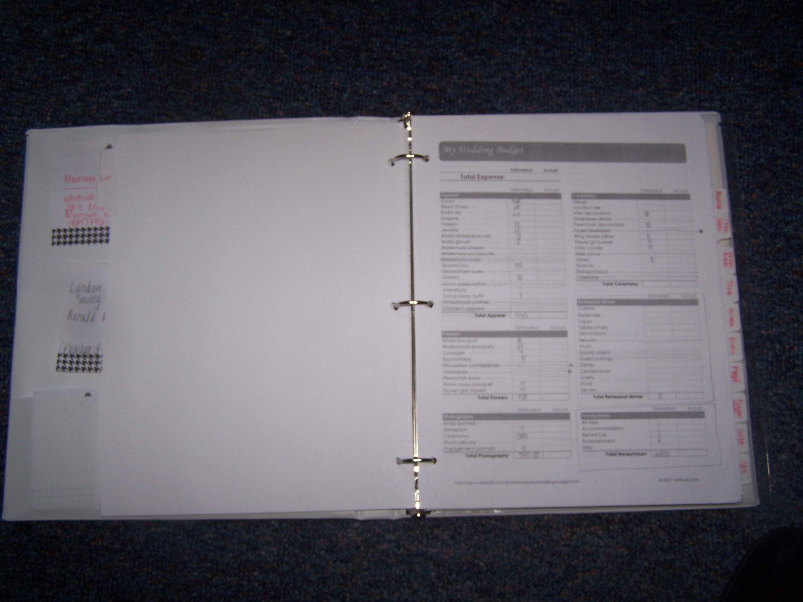 The inside of the planner.  This is a budget page.  You can see the tabs as well as some post-it notes.