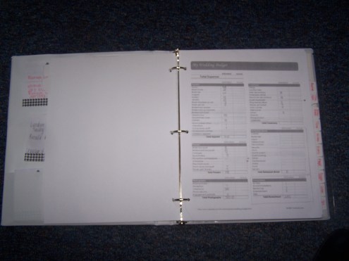 The inside of the planner.  This is a budget page.  You can see the tabs as well as some post-it notes.