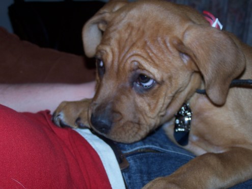 What a daddy's girl.