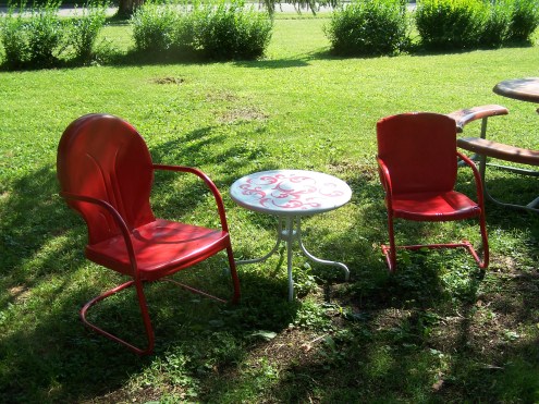 dogs painted nails 007