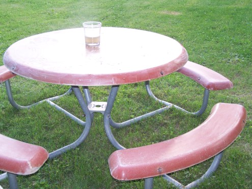 picnic table 009