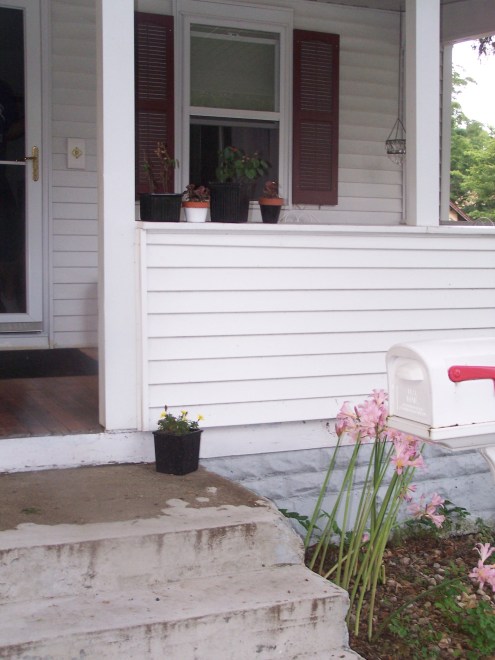 flowers and dinner 007